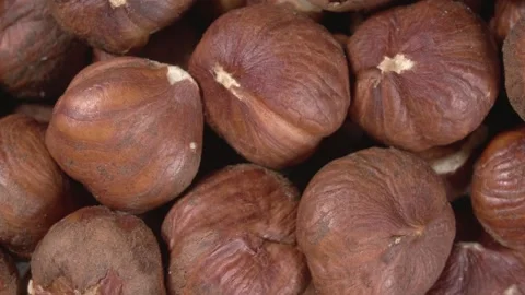 Close-up of rotation of hazelnuts. Whole kernels. Hazelnut macro. Видео 143571088