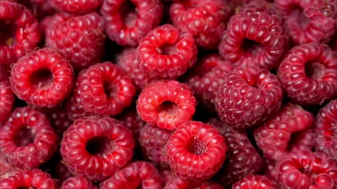 Close Up Rotation Loopable Raspberry. Fresh, Juicy Raspberry Background, Ripe Stock Footage 156204687