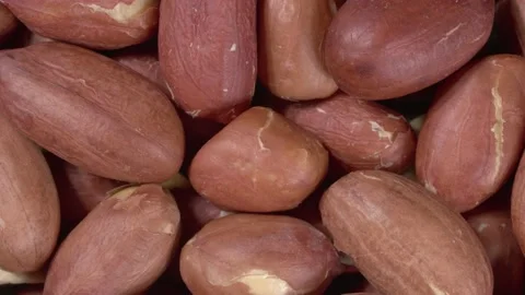 Close-up rotation of peanuts. Lots of nuts. Peeled peanuts. Видео 143570164