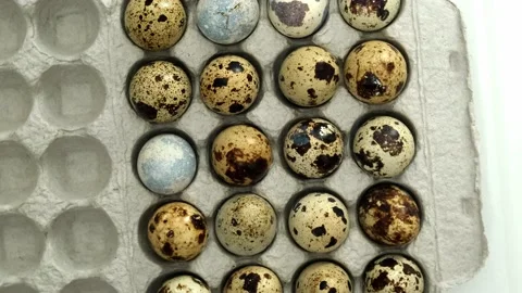 Close up rotation of quail eggs in cardboard packaging. Top view Video stock 217372344