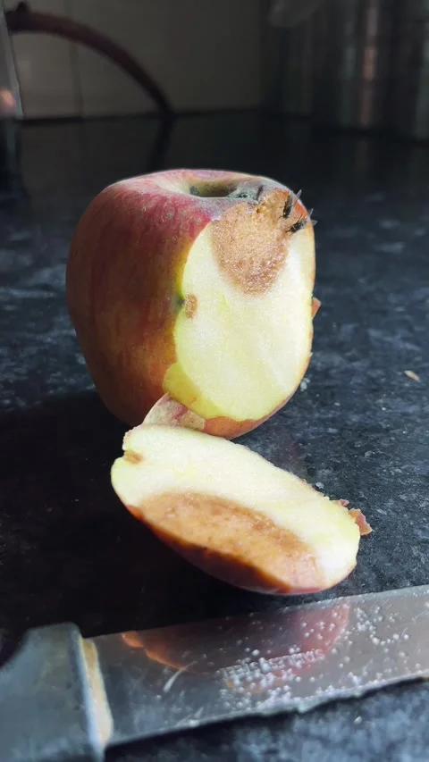 Close-Up of Rotten Apple with a Fly Sitting on Top – Vertical Macro Shot Видео 321388473