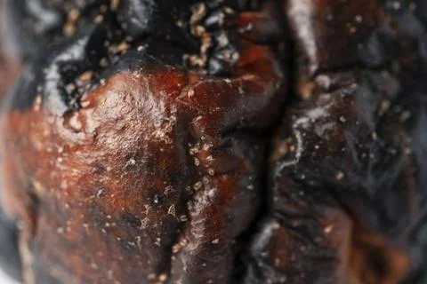 Close up rotten apple isolated Photos