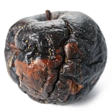 Close up rotten apple isolated Photos