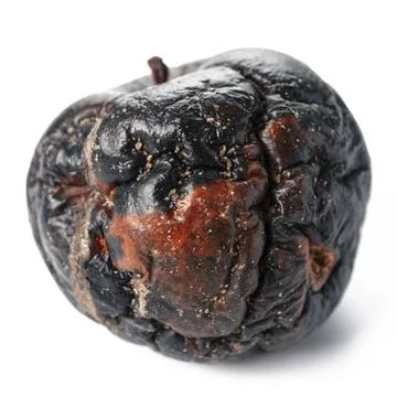 Close up rotten apple isolated 写真素材
