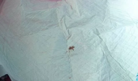 Close up on rotten corn on the table Foto stock