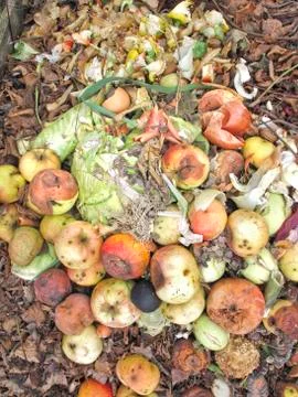 Close up of Rotting Apples Stock Photos