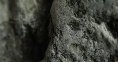 Close-up of Rough Gray Rock Surface Stock Footage 291942796