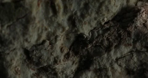Close-Up of Rough Light-Colored Rock Texture Stock Footage 289201472