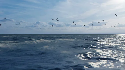 Close Up Of Rough Ocean Waves Against Blue Sky And Flying Seagulls Video stock 158731557