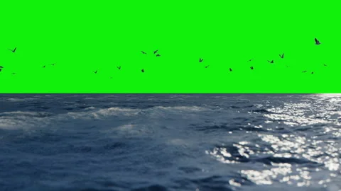 Close Up Of Rough Ocean Waves And Flying Seagulls, Green Screen Chromakey Stock Footage 148464256