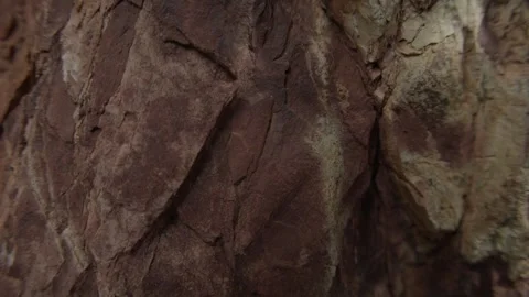 Close-up of rough reddish rock with deep cracks and textures. Stock Footage 289083309