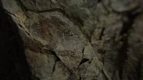 Close-up of rough rock surface. Stock Footage 292230253
