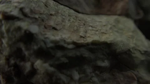 Close-Up of Rough Rock Surface with Natural Patterns Stock Footage 287876649