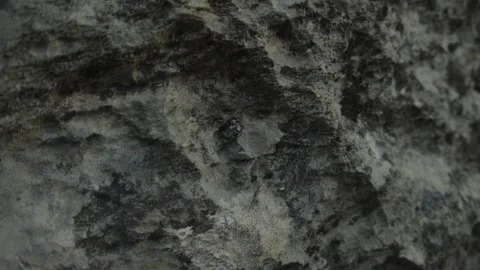 Close-Up of Rough Rock Texture in Natural Light Stock Footage 289842914