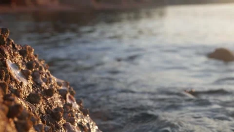 Close up of a rough rocky shore by the ocean Stock Footage 337405573