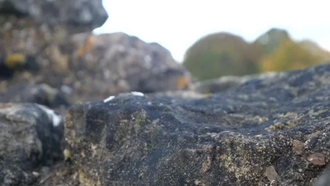 Close up of a rough stone on a medieval ruin Stock Footage 255054561