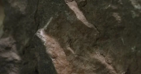 Close-Up of Rough Stone Surface with Light and Shadow Video stock 290767873