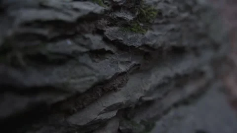 Close-Up of Rough Textured Rock Surface with Shadowed Details Stock Footage 289640450
