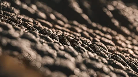 Close-up of a Rough, Textured Surface Vídeos de archivo 284742153