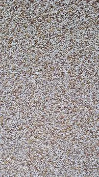 Close-up of rough textured wall with multicolored decorative pebble coating Stock Photos