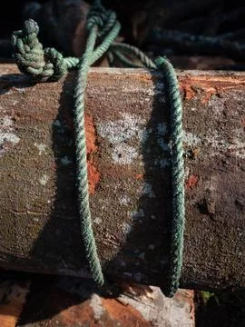 Close up of a Rough Tree Trunk Texture Stock Photos