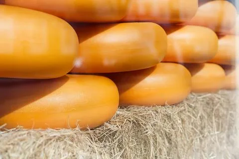 Close-up of round cheese wheels stacked on hay Stock Photos