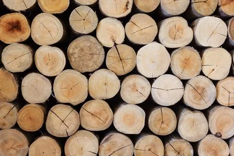 Close-up round cut down cross section tree log with annual rings wood textu.. Stock Photos