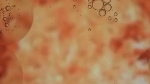 Close up of round red blood cells, macro shot, microscope, liquid movement Stock Footage 128381503