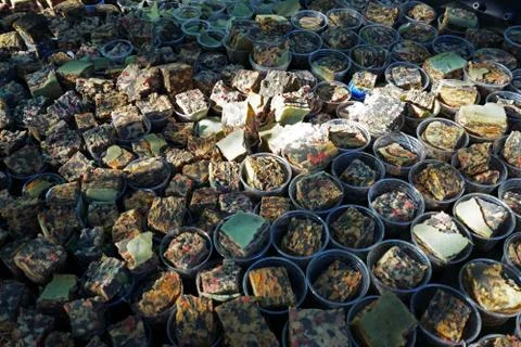 Close up row of black plastic container bag of planting trees Stock Photos