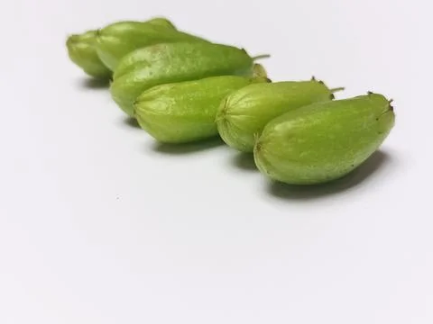Close Up Row of Fresh Bilimbi Fruit Isolated 스톡 사진