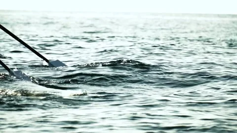 Close up on rowing oars silhouette paddling in water to win a team Stock Footage 219947348