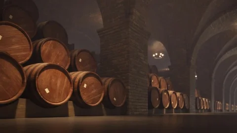 Close-up Of Rows Wine Barrels Stock Footage