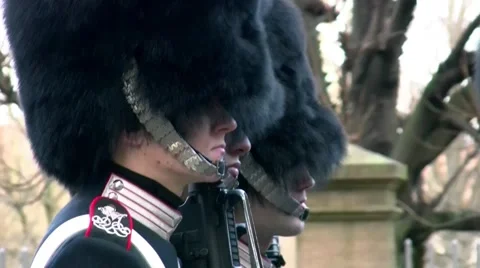 Close up of royal danish guards Stock Footage 45829236