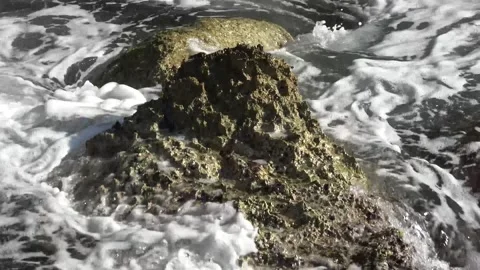 Close up rugged limestone coastal rock washed by sea waves 스톡 동영상 342393958