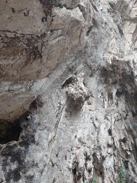 Close up of rugged limestone rock texture with stalactites inside cave Stock Photos