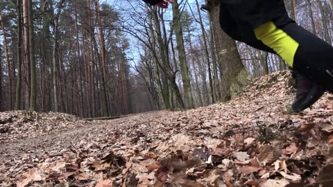 Close up of a runner feet running on forrest road. Stock Footage 73963654