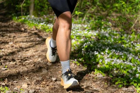 Close-up of runner legs in athletic shoe on a sunlit forest trail Stock Photos