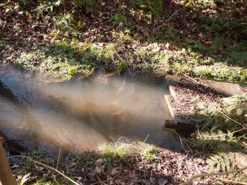 Close up of running stream water through forest floor spring nature Stock Photos
