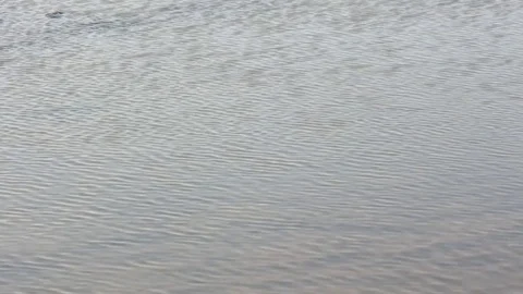 Close-Up of Running Water Stock-Footage 85400692