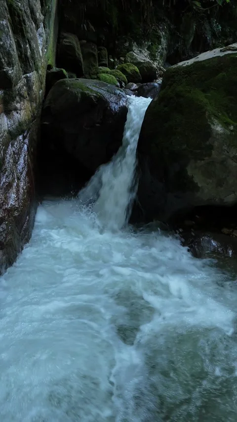 Close-up of a Rushing Forest Stream and Small Waterfall Stockbeeldmateriaal 333481163