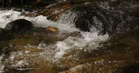 Close up of rushing river water with white foam and bubbles Stock Footage 335660020