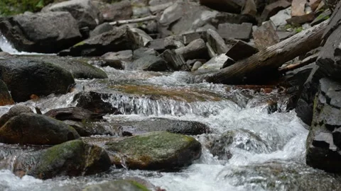 Close Up of Rushing Stream 스톡 동영상 229676819