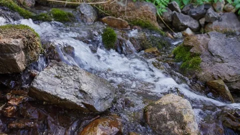 Close-up of rushing stream over moss-covered boulders Stock Footage 331999031