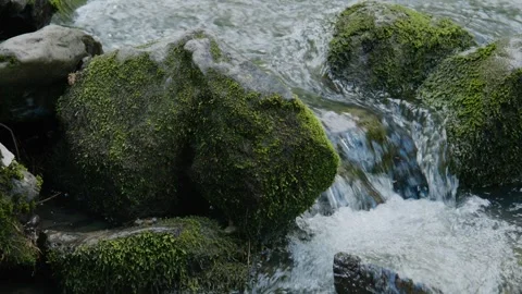 Close-up of rushing stream water over moss-covered boulders Stock Footage 335812360