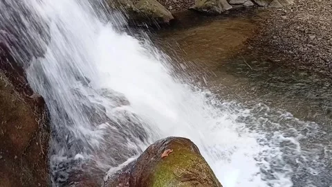 Close-up of Rushing Water Cascading Over Rocks in a Jungle Stream Video stock 329085986