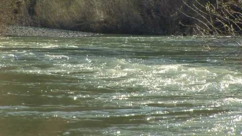 Close up of Russian River in Ukiah, Northern California USA Stock Footage 101855509