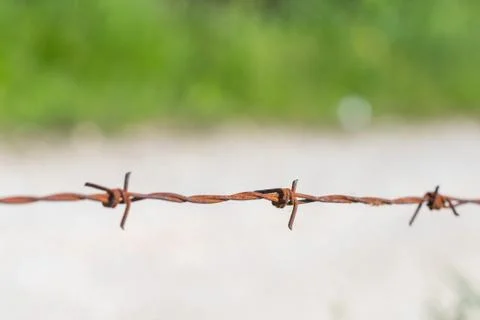 Close up of rust barbed wire with blurred background Stock Photos