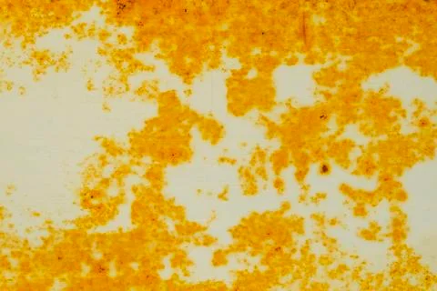 Close-up of Rust on Old metal iron panel. Grunge rusted metal. Old wall textu Stock Photos