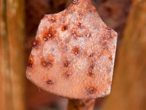 Close up of rusted door handle texture metal Photos