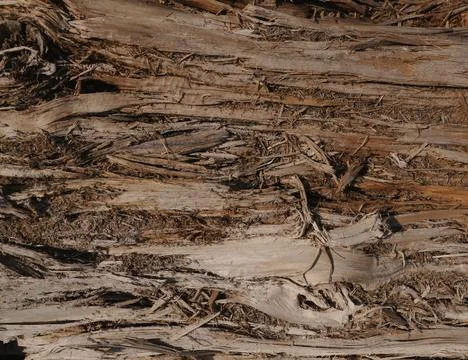 Close-Up Rustic Brown Gray Abstract Wood Texture Background Wallpaper for G.. Stock Photos